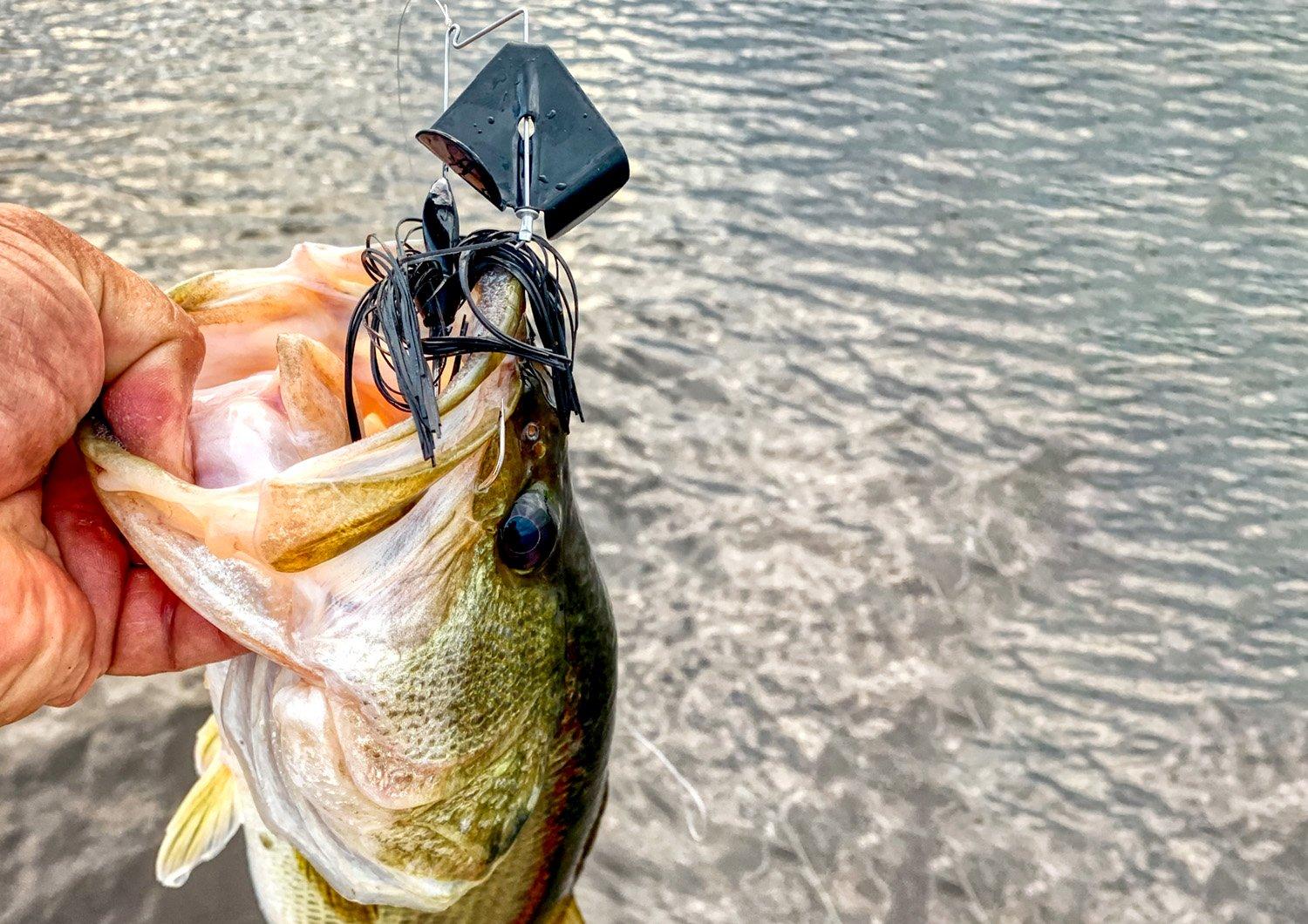 airex fishing lures Adam's Custom Lures Havok – Team Rhino Outdoors LLC