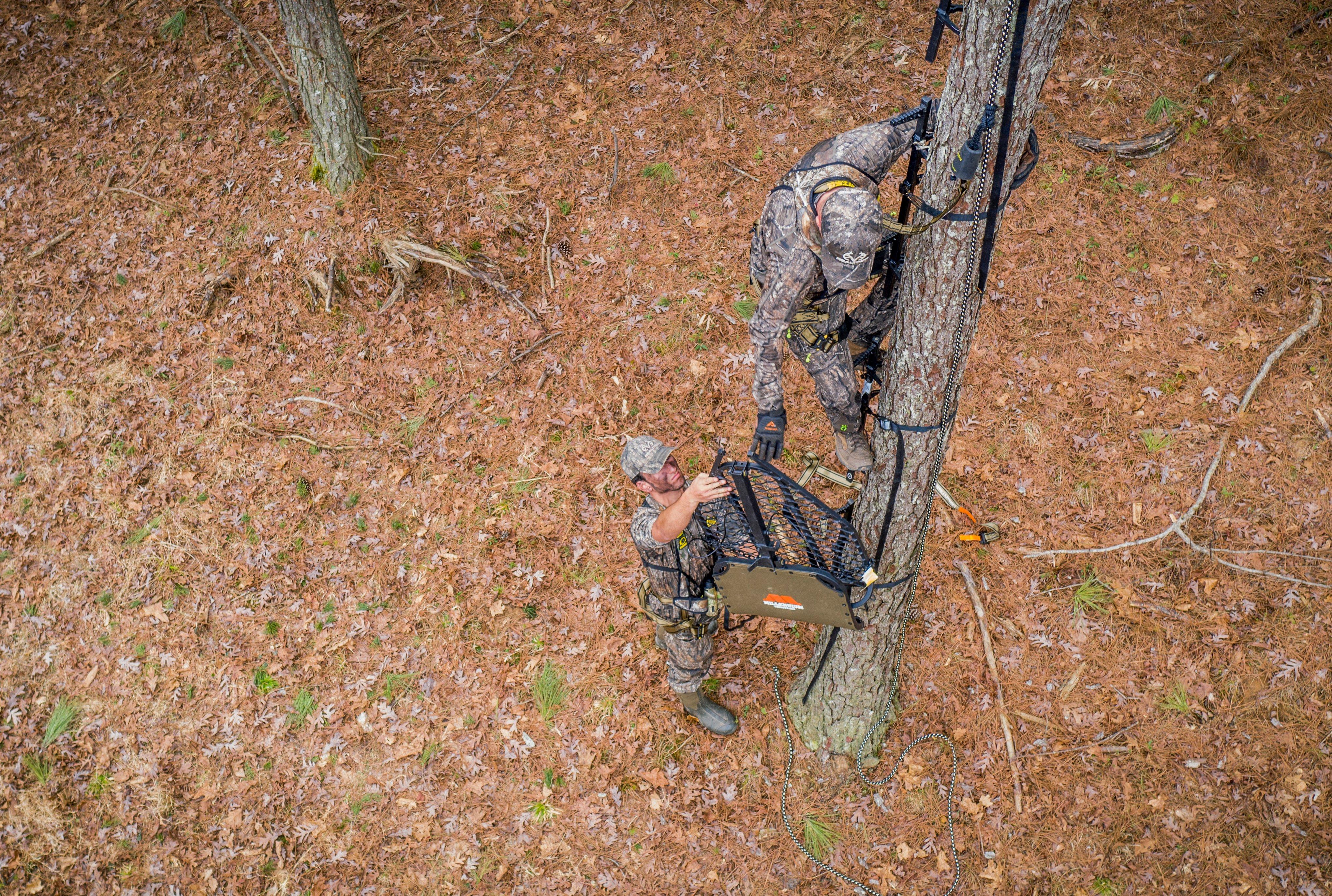 Image: tree_stand_hanging