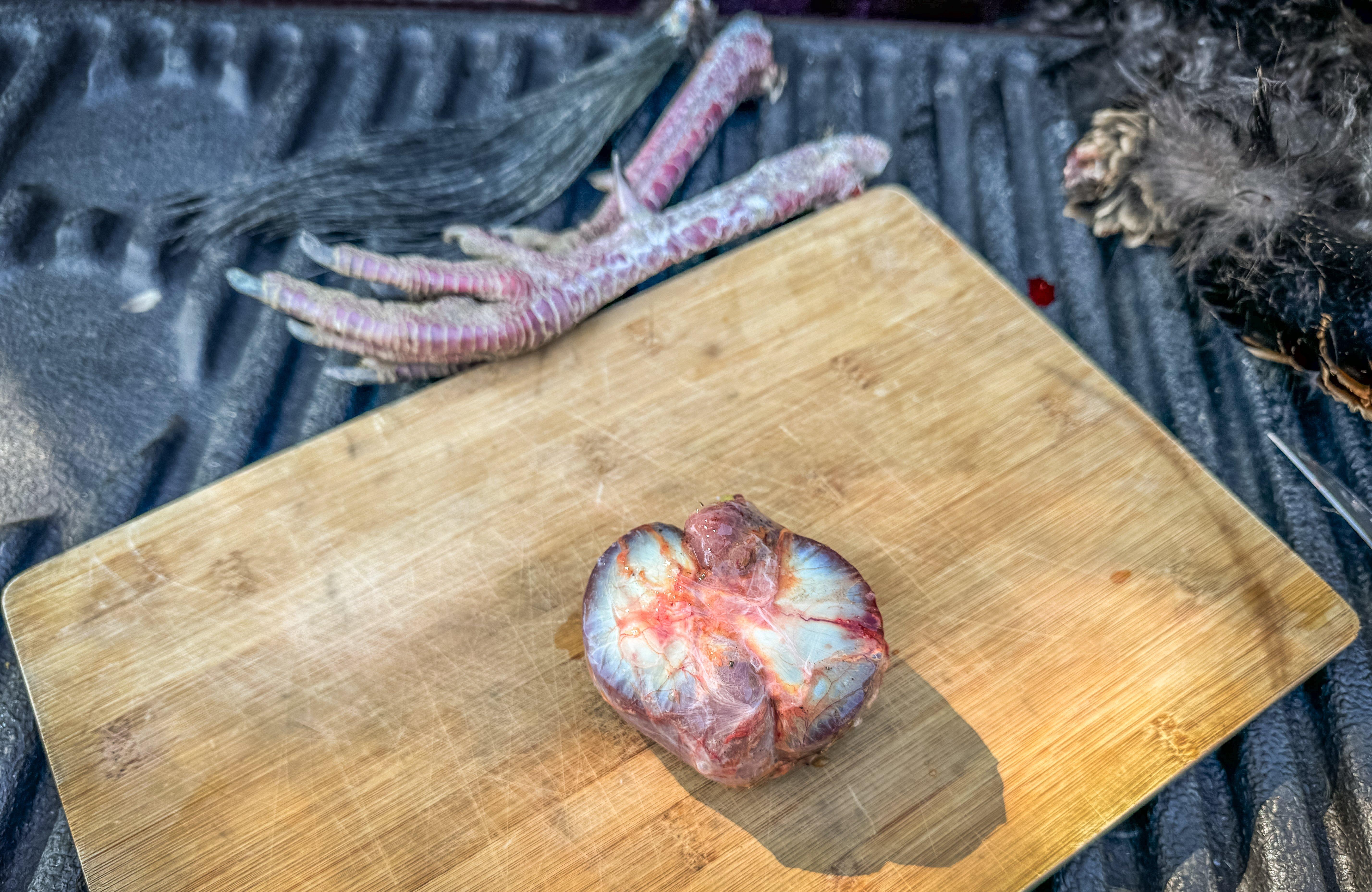 Image: turkey_gizzard_stones_3