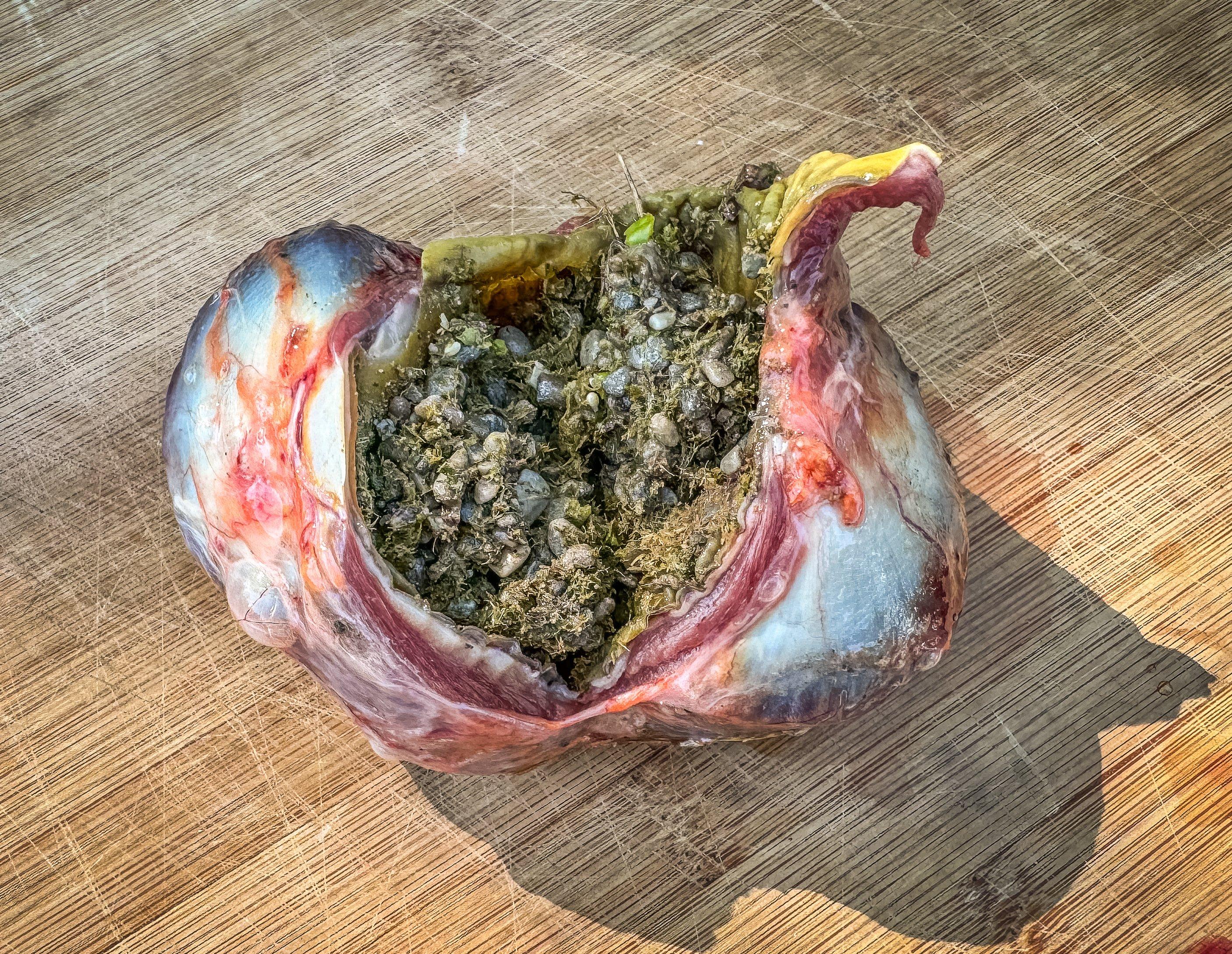 Image: turkey_gizzard_stones_4