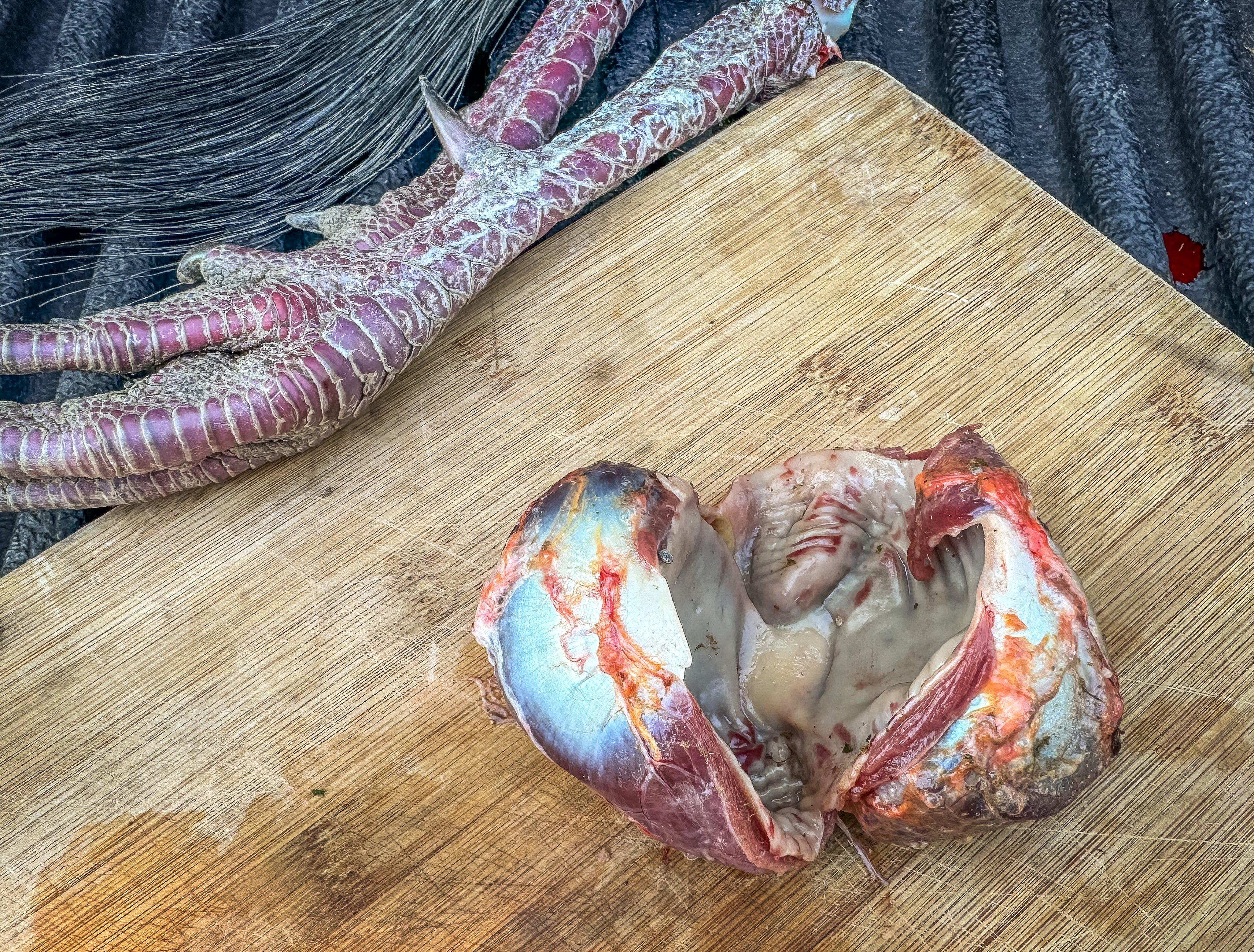 Image: turkey_gizzard_stones_5