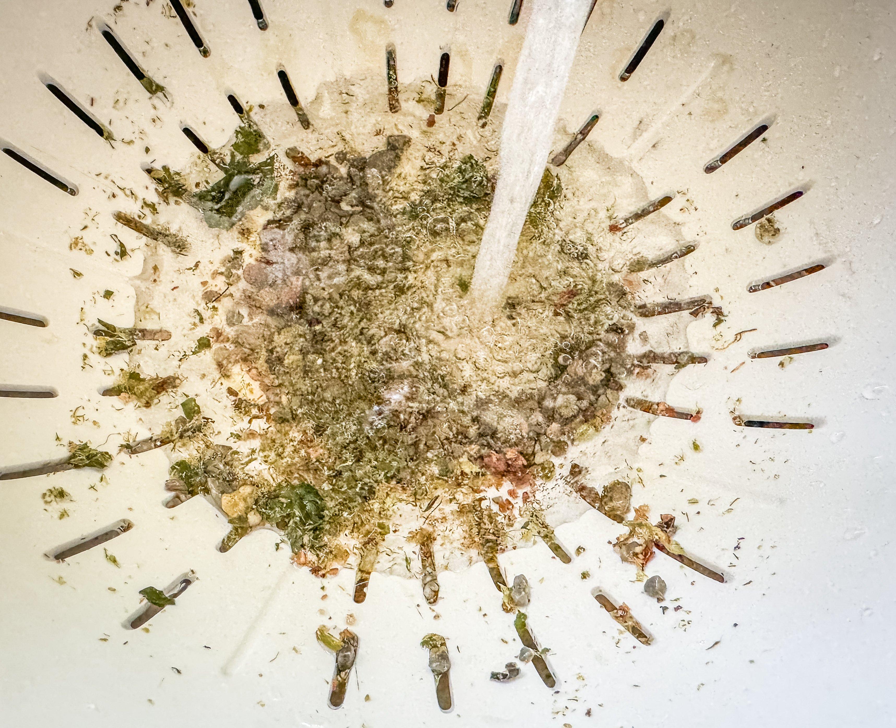 Image: turkey_gizzard_stones_7