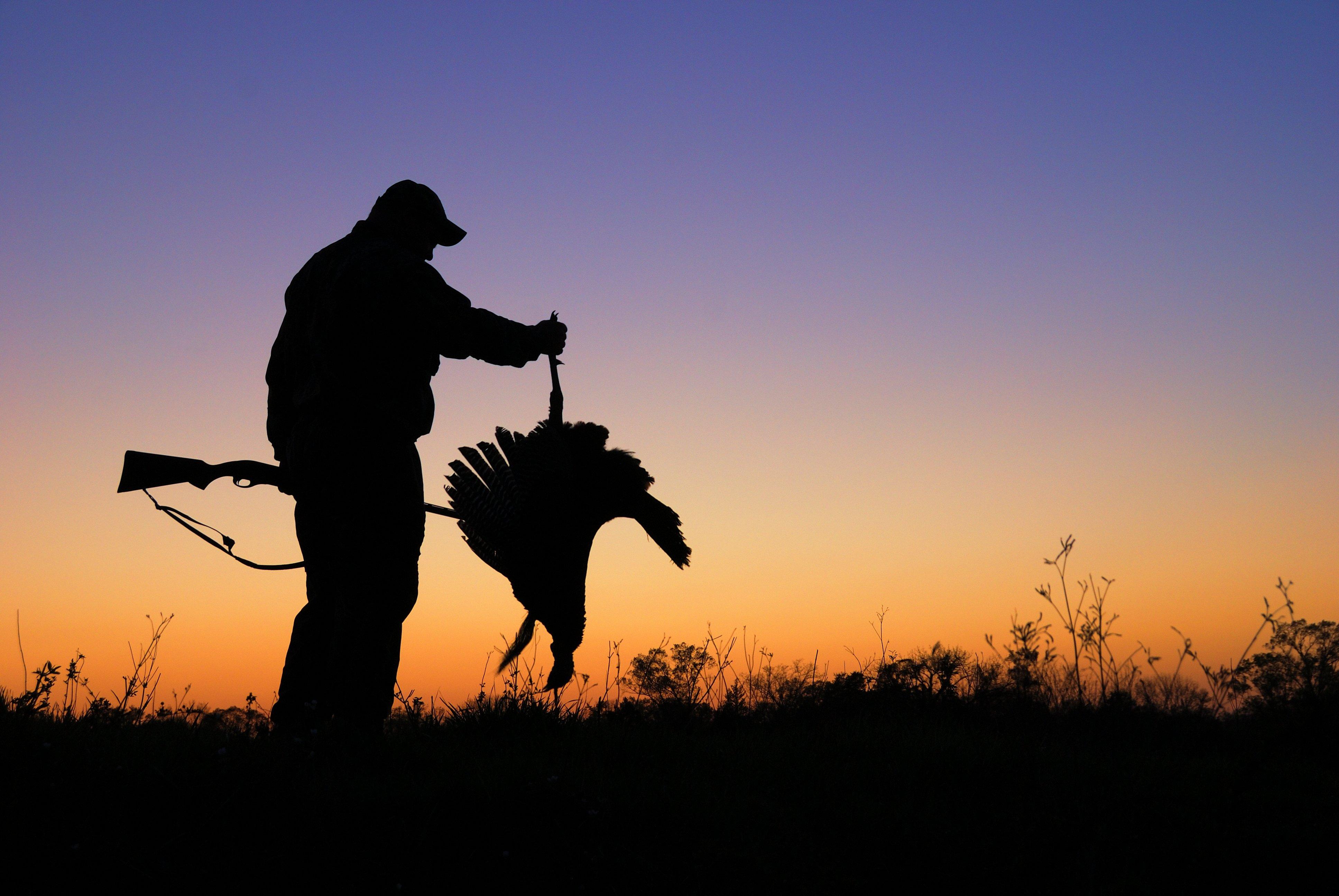 Turkey Hunting in New York. Image by Tes Randle Jolly 