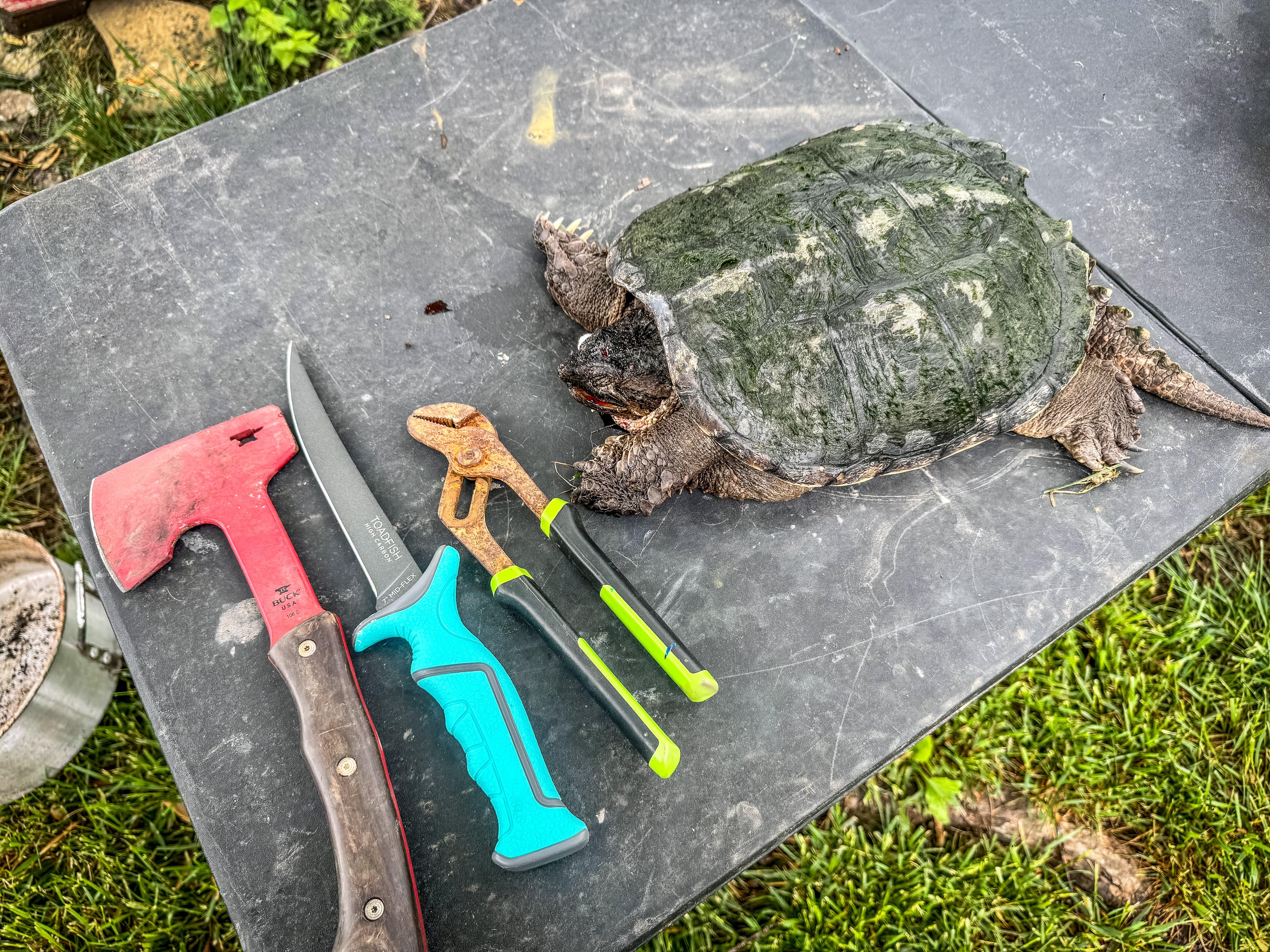 How to Skin a Snapping Turtle With an Air Compressor