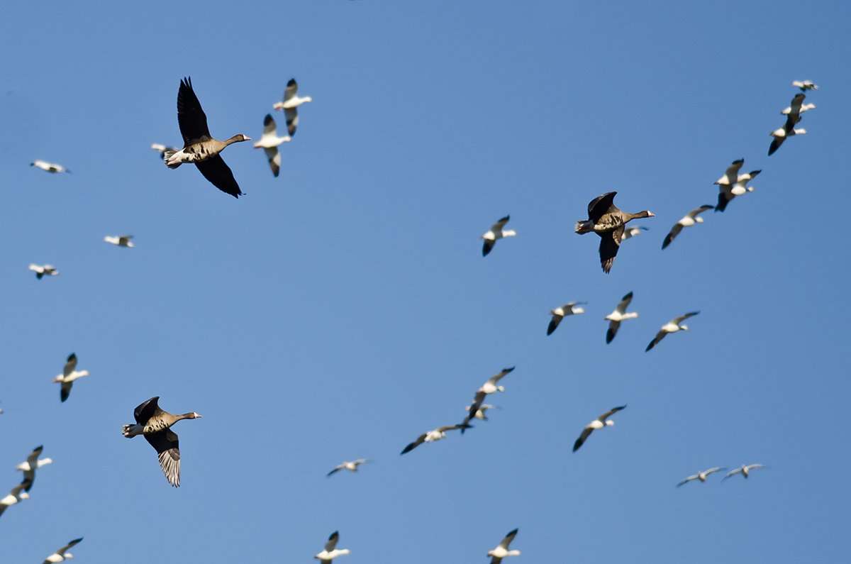 Photo © rck_953/Shutterstock Photo © rck_953/Shutterstock