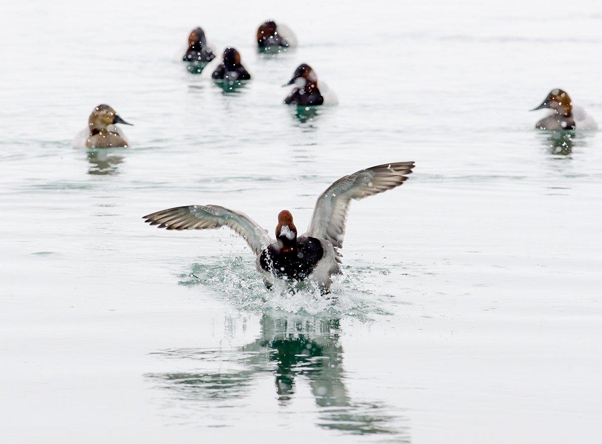 Photo © John E. Heintz Jr./Shutterstock