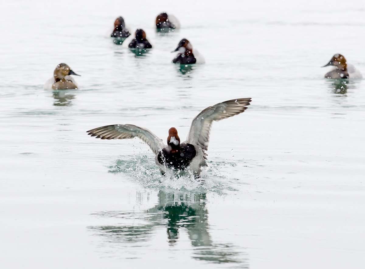 Photo © John E. Heintz Jr./Shutterstock Photo © John E. Heintz Jr./Shutterstock
