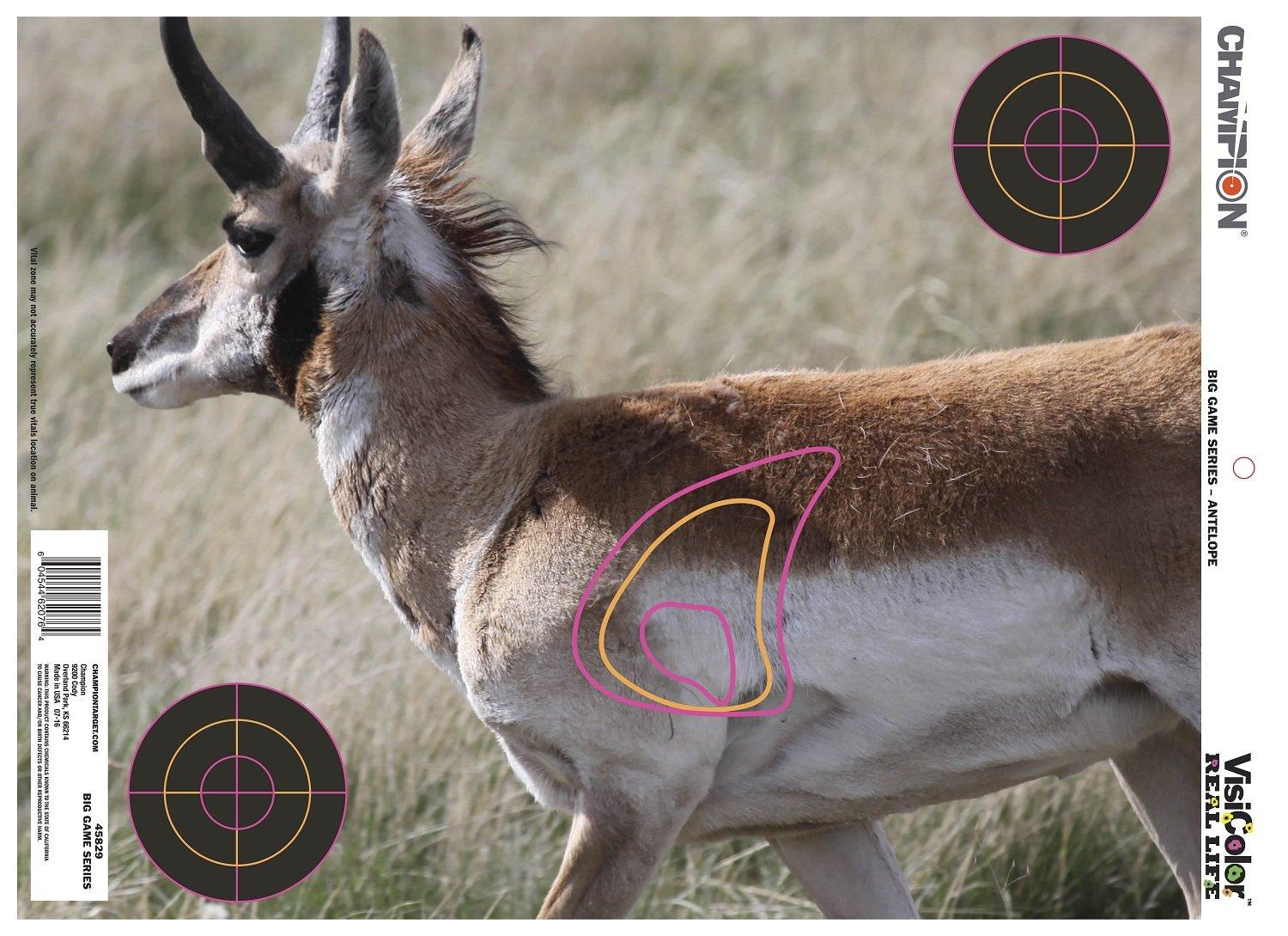 Champion VisiColor Big Game targets (Courtesy photo, Champion)