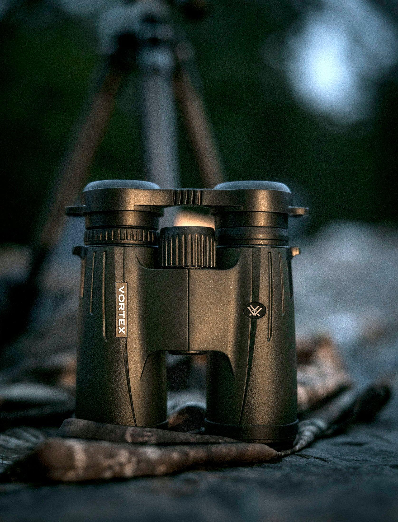 Image: vortex_binos_3