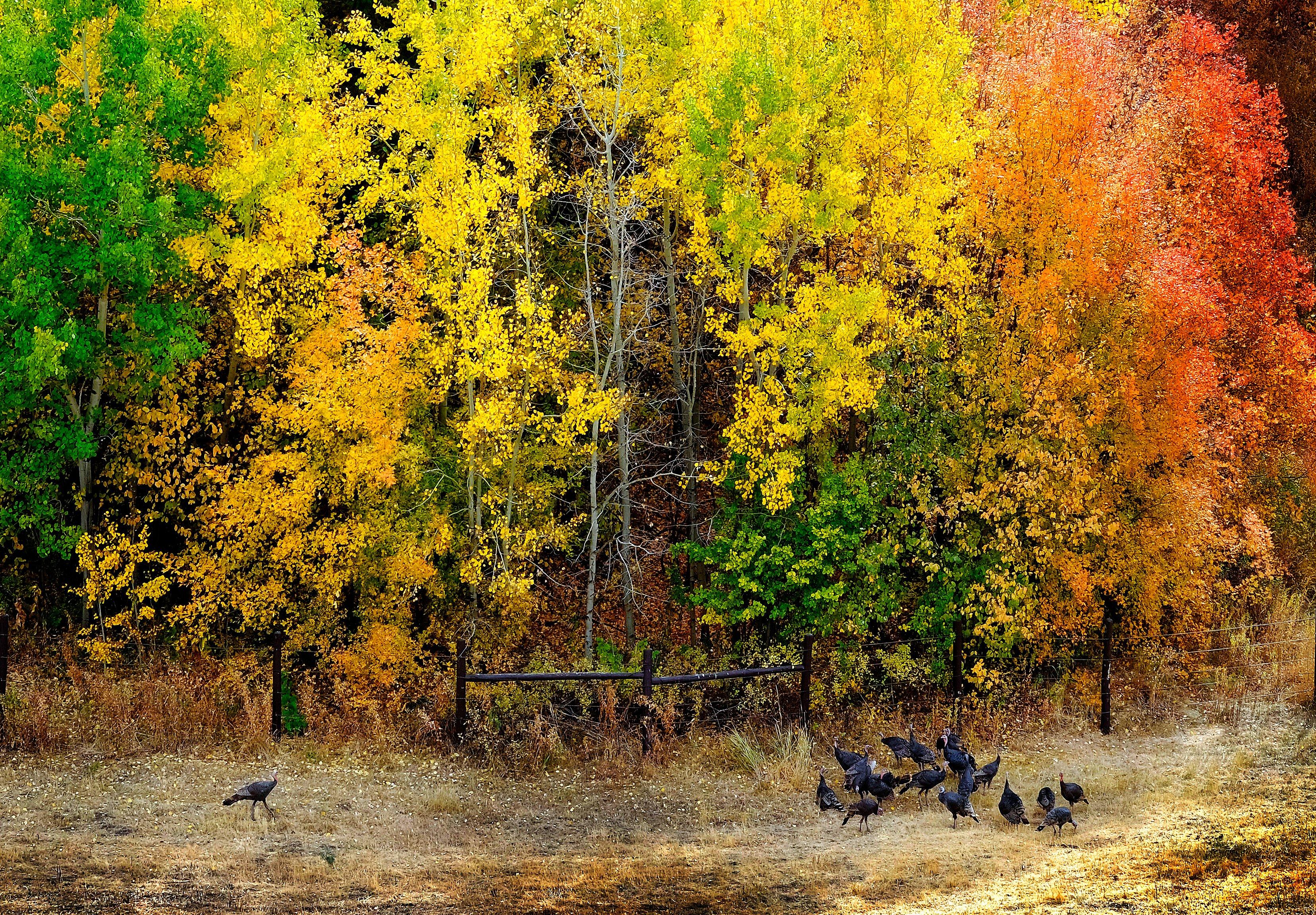 Image: vortex_rangefinder_1