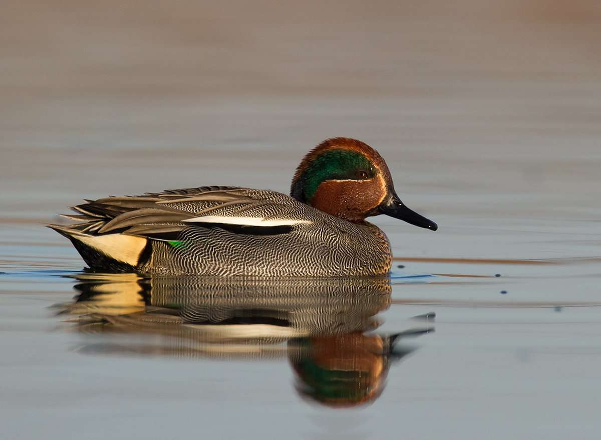 Photo © Marcin Perkowski/Shutterstock Photo © Marcin Perkowski/Shutterstock