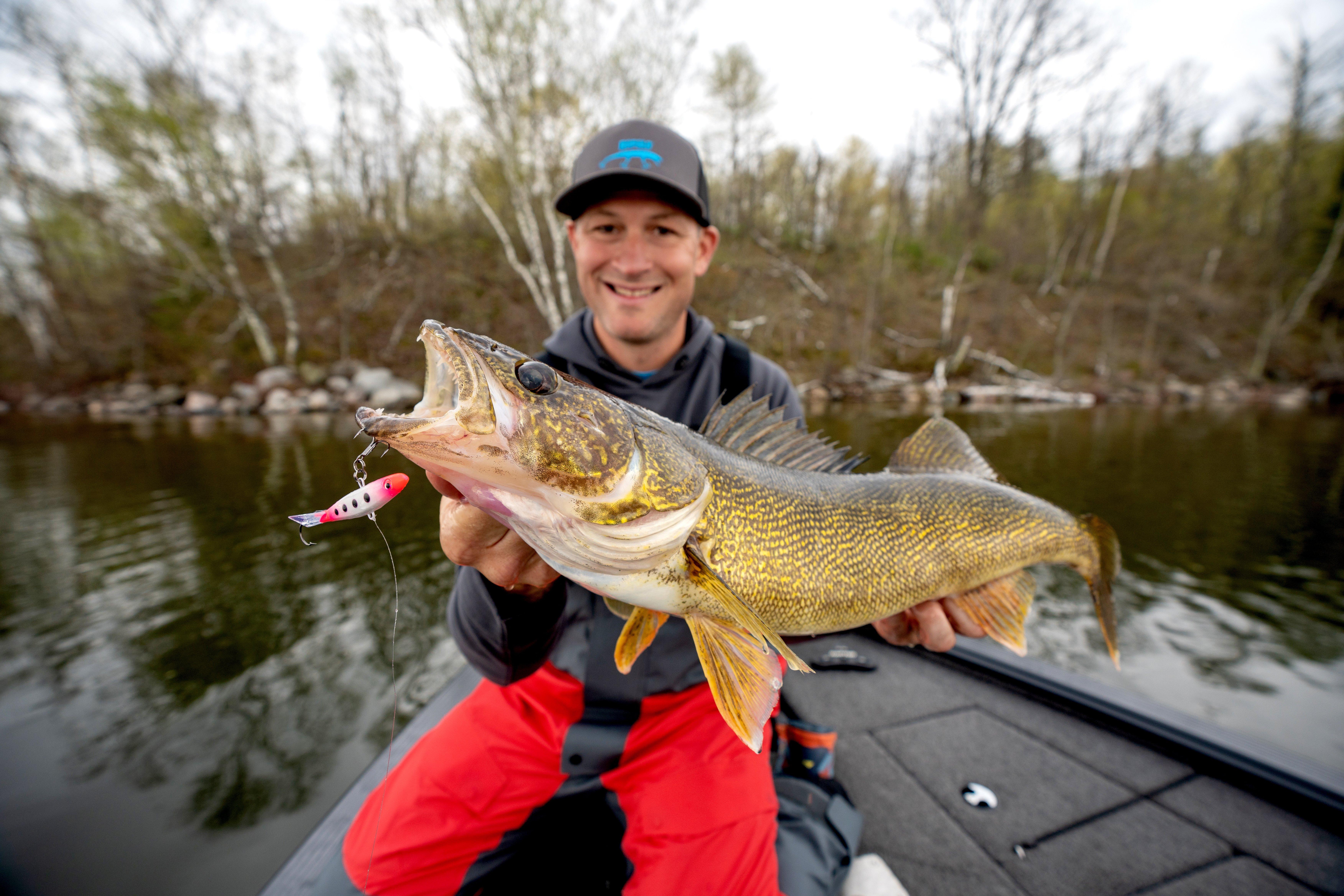 Image: walleye_small_lake_1