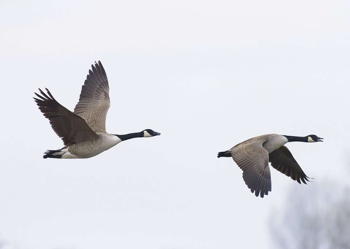 Photo © Red Squirrel/Shutterstock Photo © Red Squirrel/Shutterstock