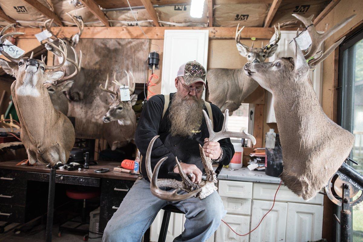 Scoring Your Trophy: typical whitetail deer