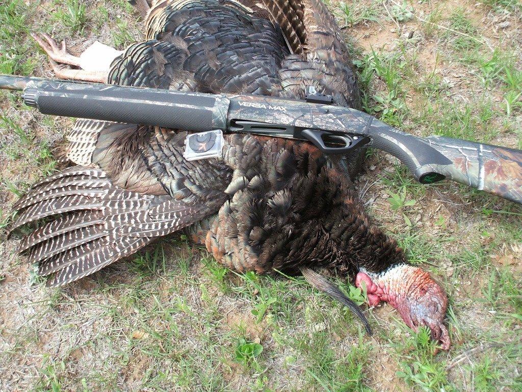 This Remington Versa Max in Realtree AP is good for turkeys, ducks and geese. (Steve Hickoff photo)