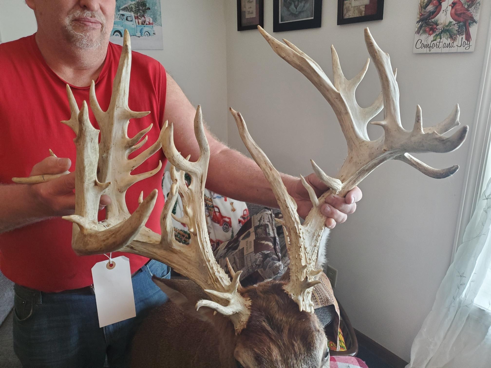 Image: wi_fraud_buck