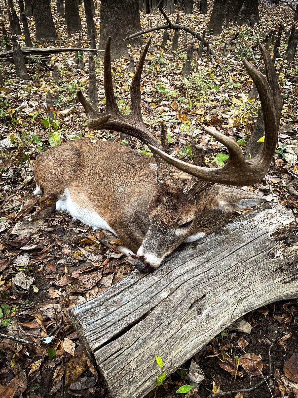 Robertson decided to play a trick on the landowner, and pretended to have shot a younger deer. Image by Buck Commander
