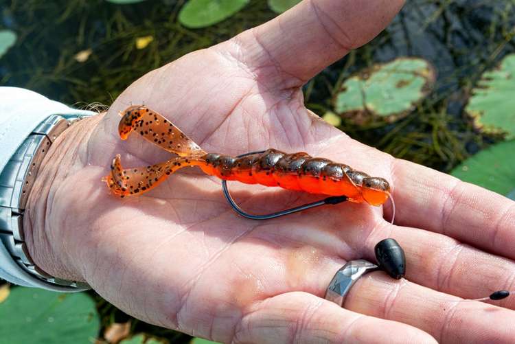 5 Traits the Best Bass Pros Have in Common Image