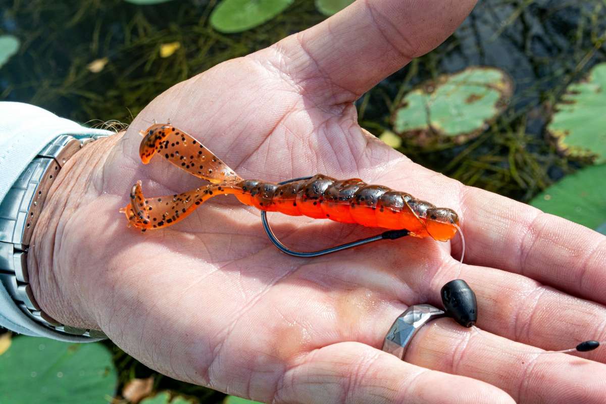 5 Traits the Best Bass Pros Have in Common - Realtree Camo