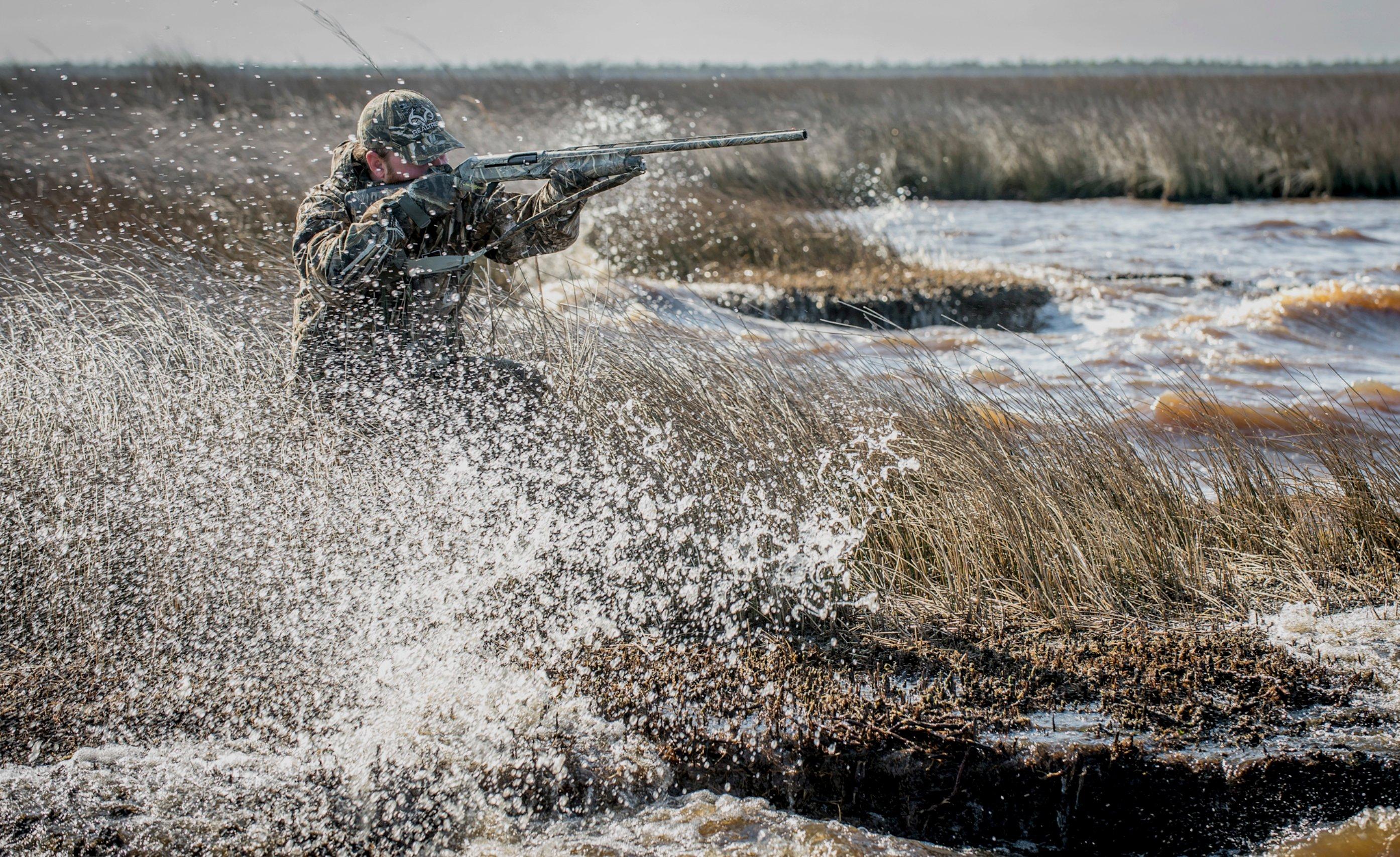 Image: windy_waterfowl