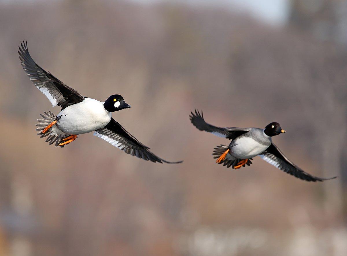 Photo © Jim Nelson/Shutterstock