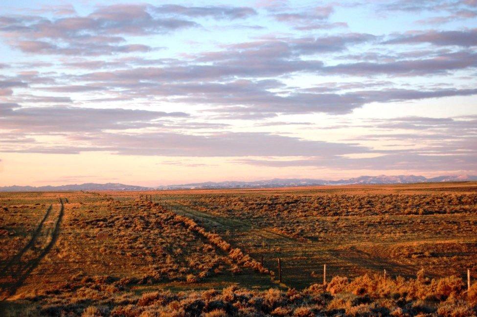 Wyoming Pronghorn Sunset No. 2