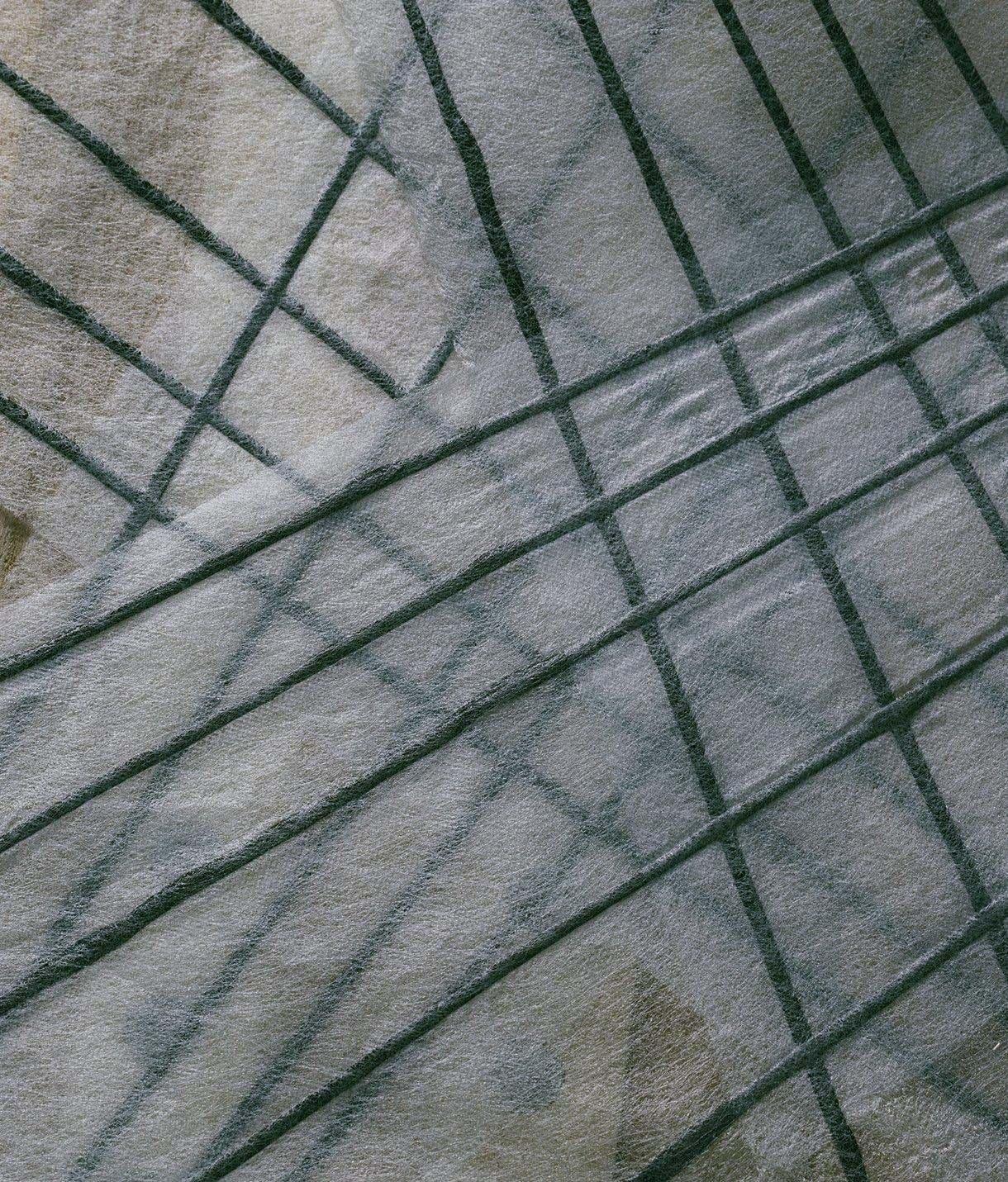 board tech lp 4.3 laminates