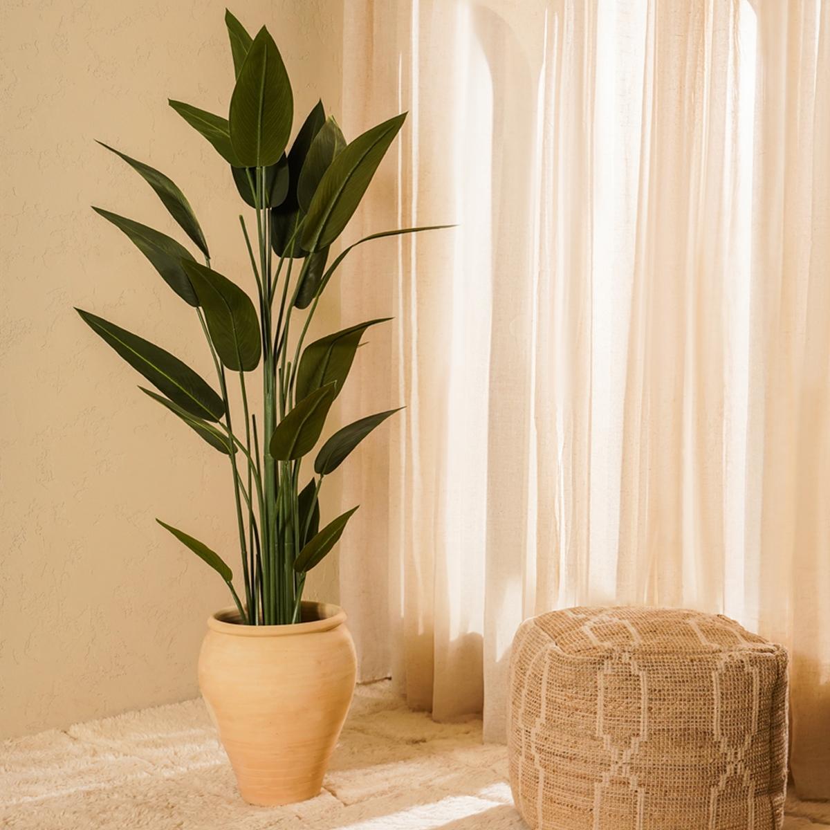 product_images