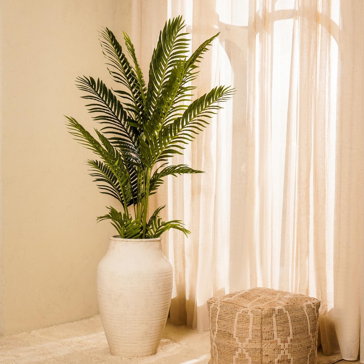 product_images