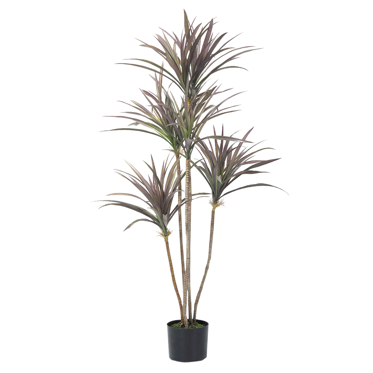 Sisal Tree 120 Cm in Kuwait | Buy Online | safathome.com