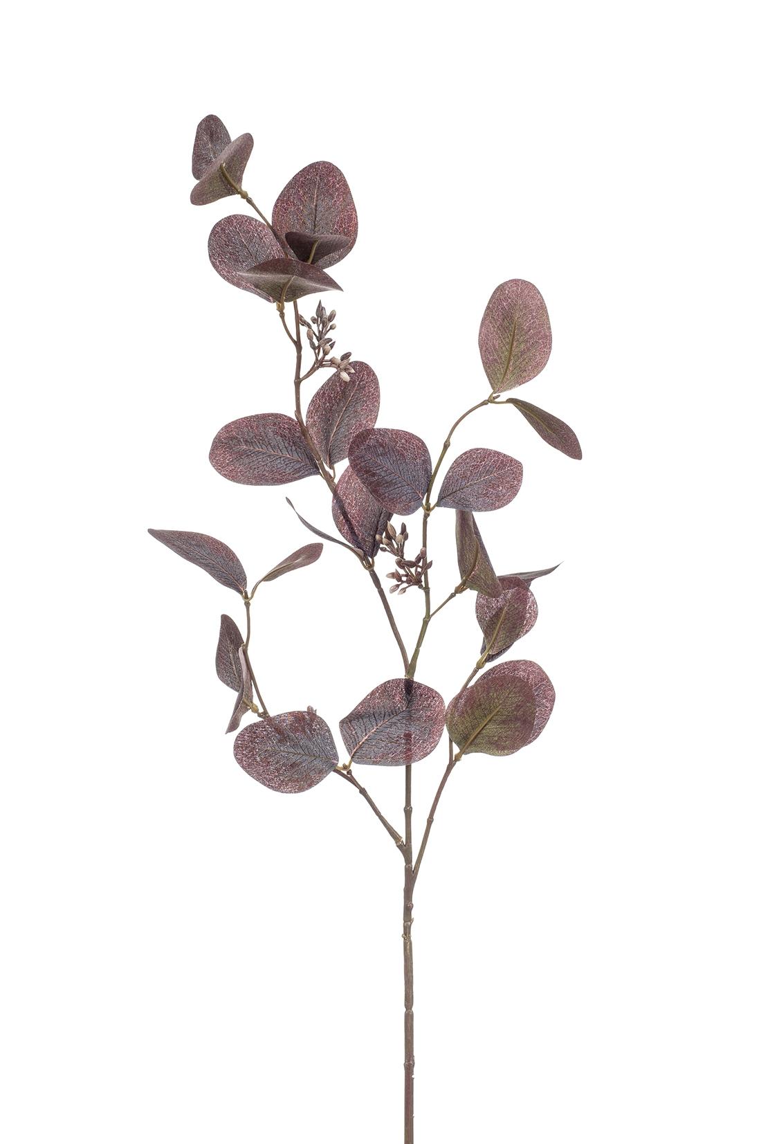 product_images