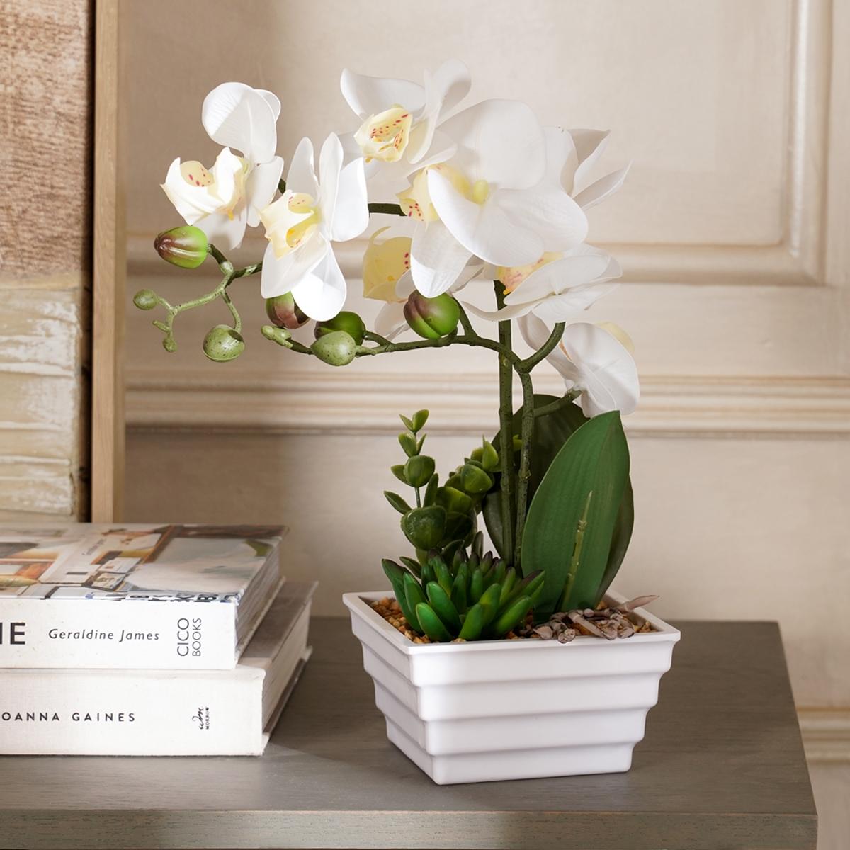 product_images