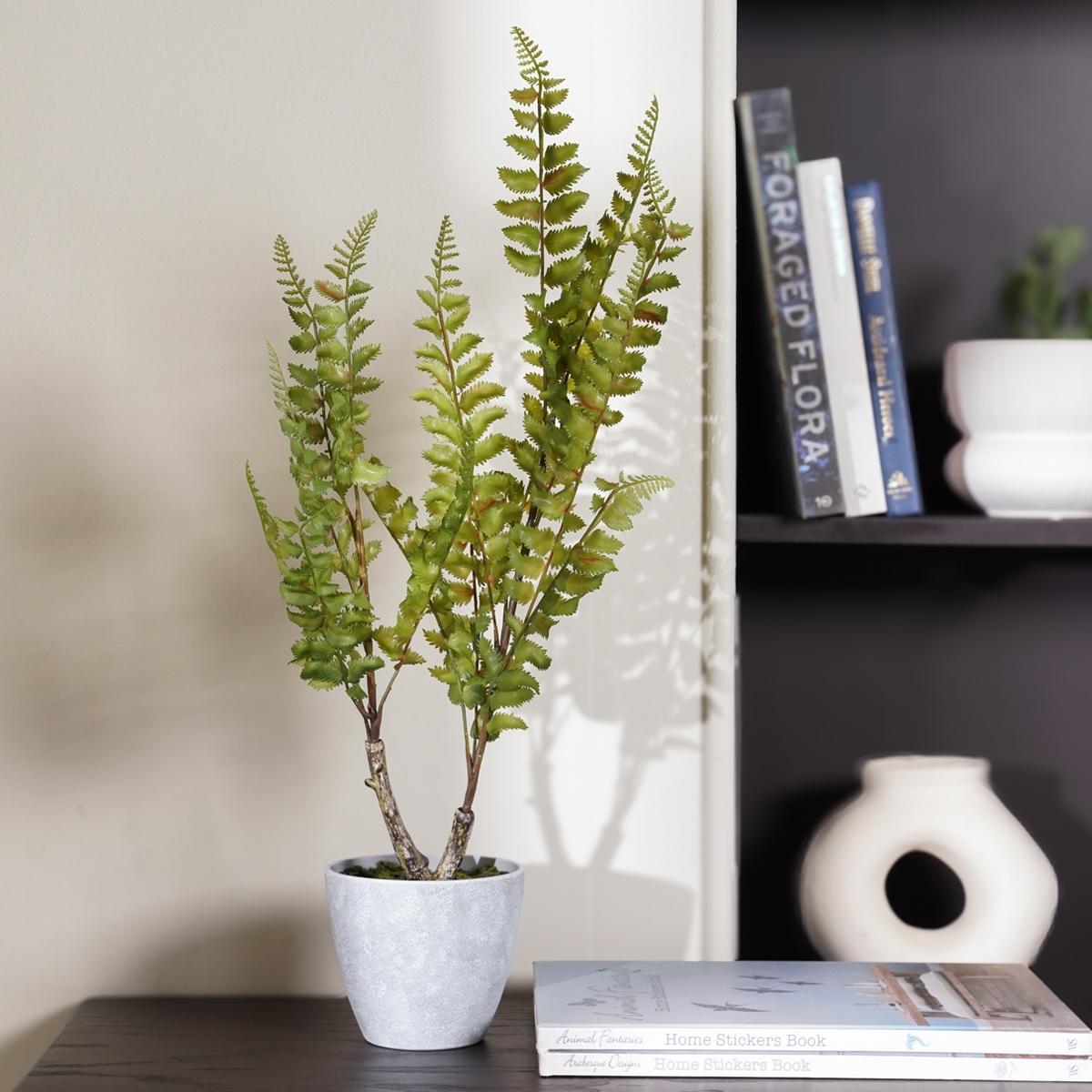 product_images