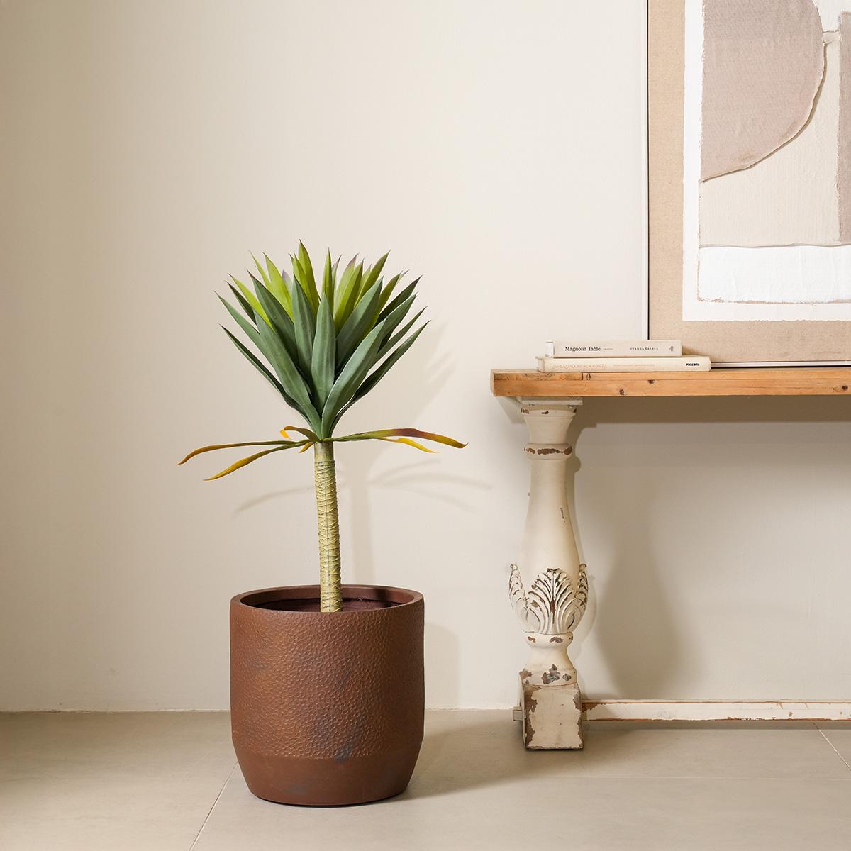 product_images