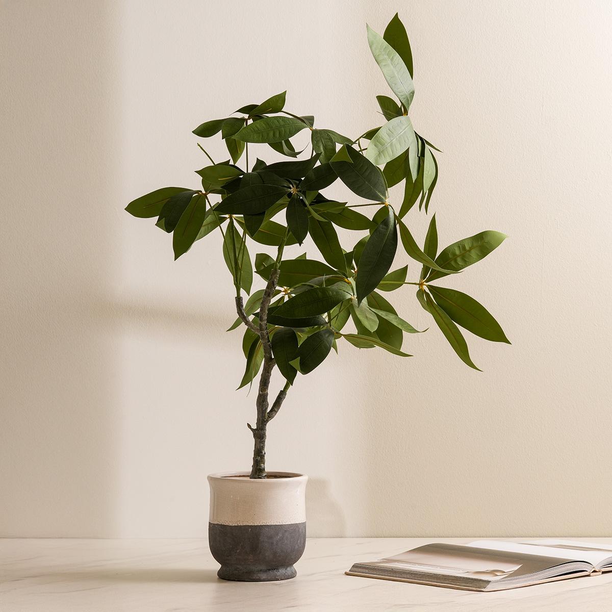 product_images
