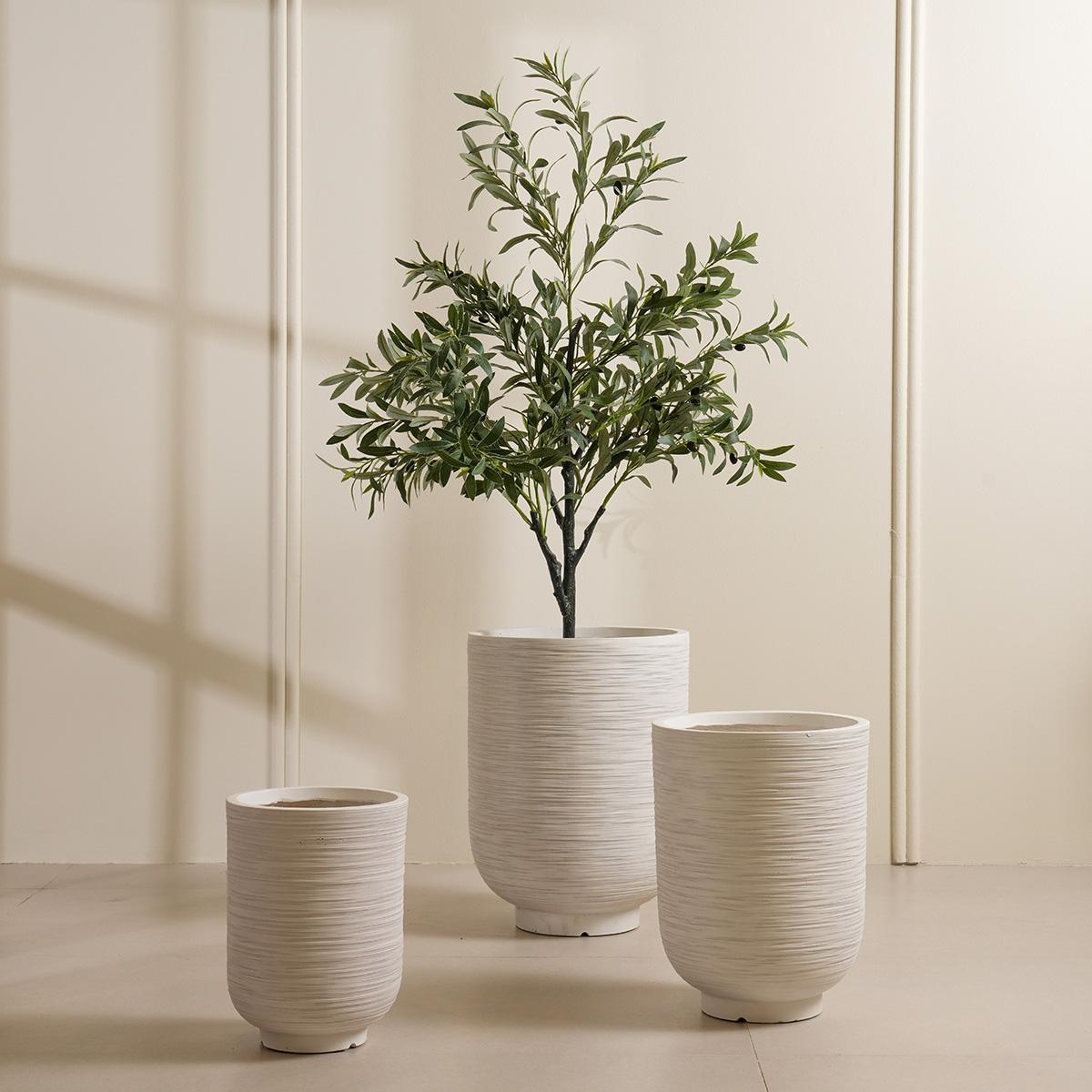 product_images