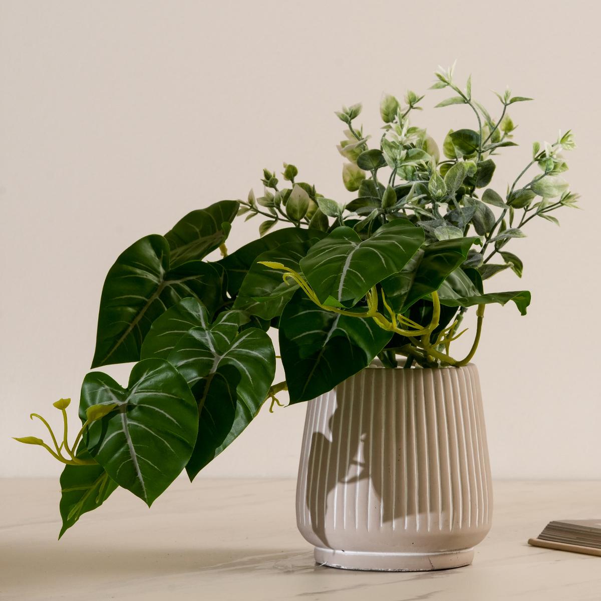 product_images