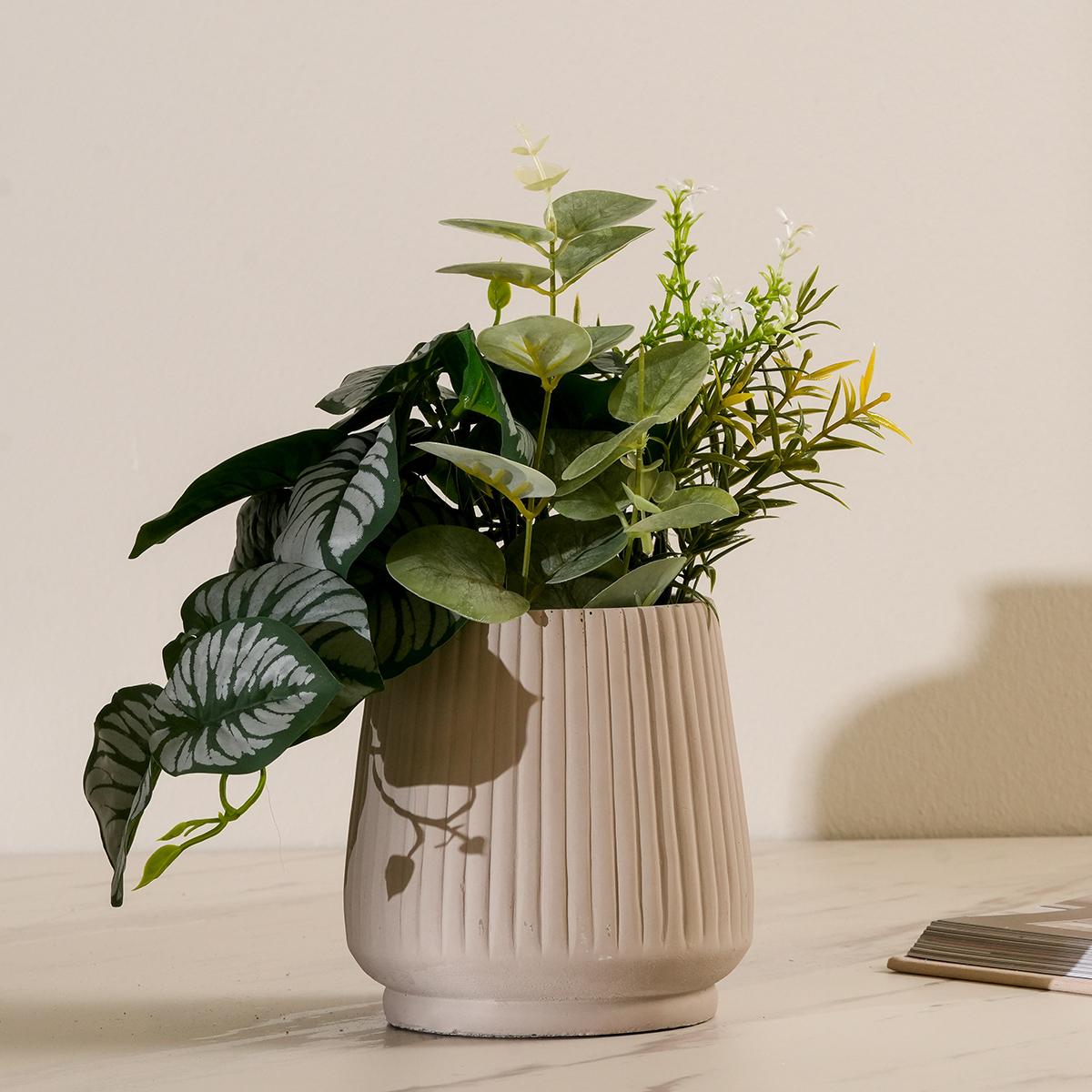 product_images