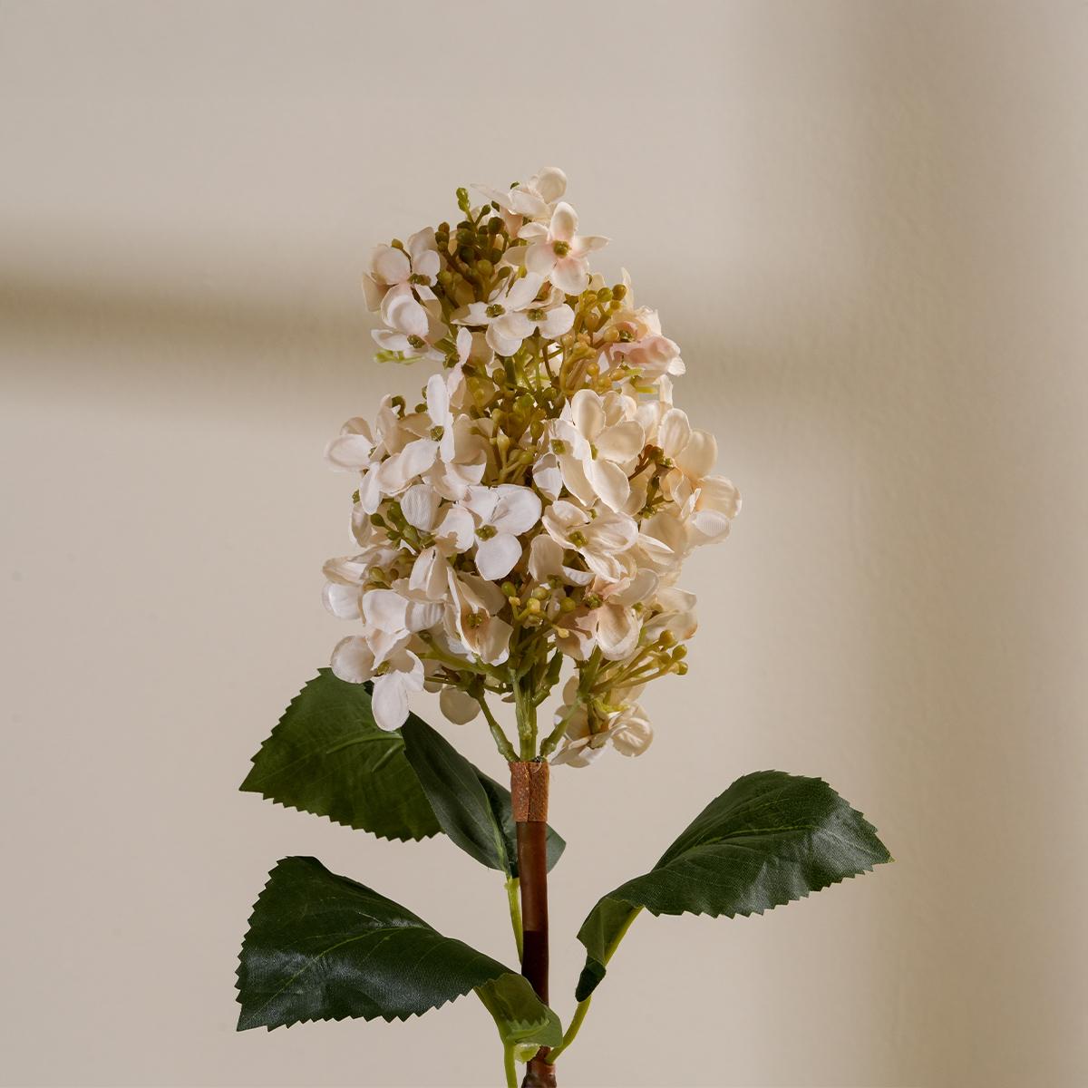 Cream Hydrangea Single-Stem Flower 50 cm in Kuwait | Buy Online ...