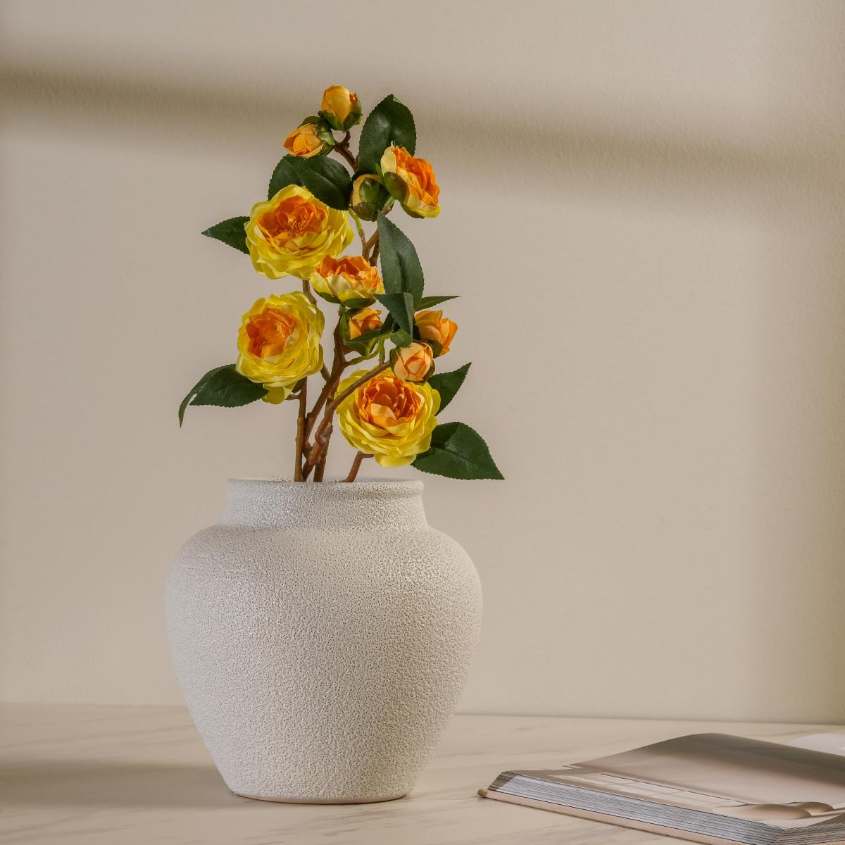 product_images