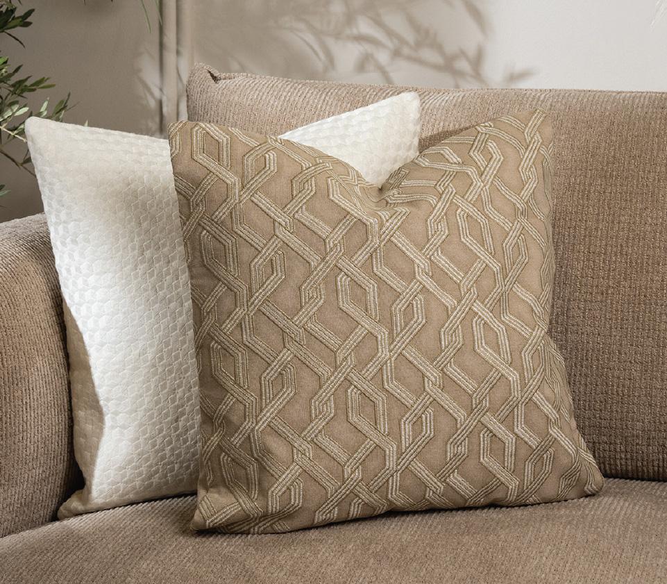 Cushion & Curtains
