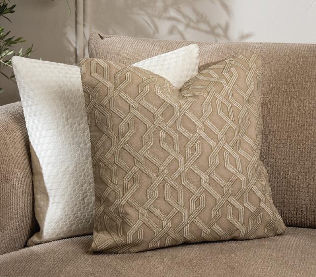 Cushion & Curtains