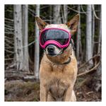 Rex Specs V2 Goggles | SCHEELS.com