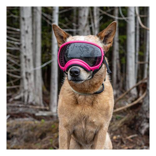 Rex Specs V2 Goggles | SCHEELS.com