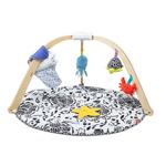 Melissa & Doug Ocean Easy-Fold Play Gym - Thumbnail 1 of 6