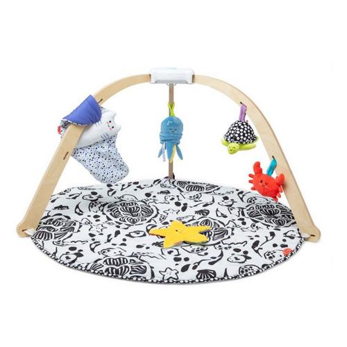 Melissa & Doug Ocean Easy-Fold Play Gym - Primary Image