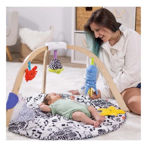 Melissa & Doug Ocean Easy-Fold Play Gym - Primary Image