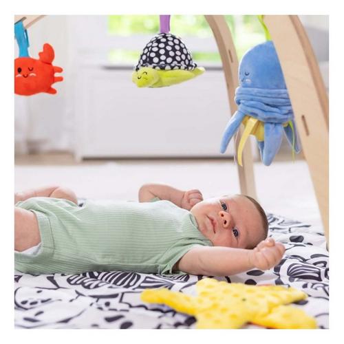 Melissa & Doug Ocean Easy-Fold Play Gym - Primary Image