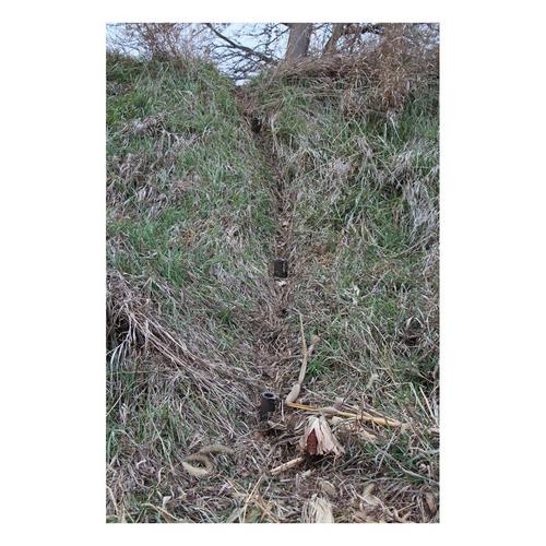 Duke Dog Proof Racoon Trap - Primary Image