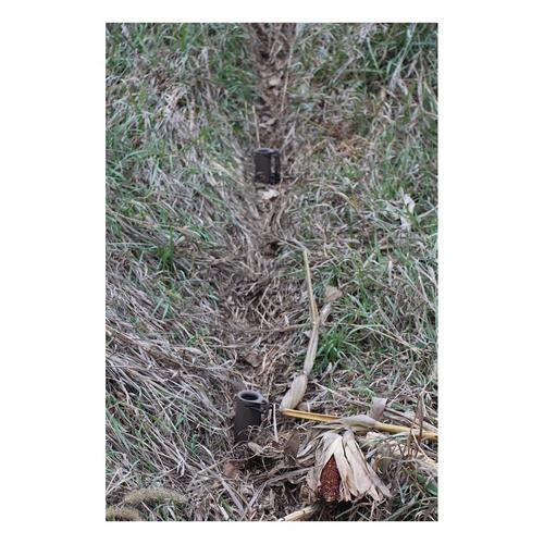 Duke Dog Proof Racoon Trap - Primary Image